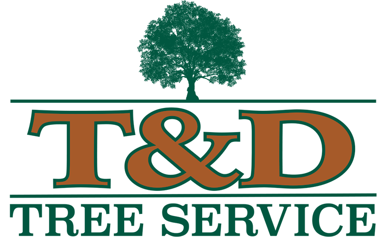 T & D Tree Service